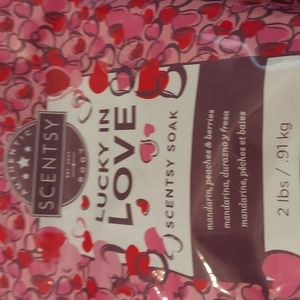 Scentsy soak
